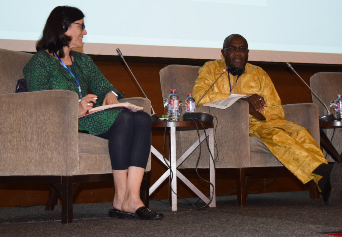 Jeanna Holtz of SHOPS Plus and Dr. Karamoko Nimaga of the Private Sector Alliance for Health Promotion in Mali sit in chairs on a stage as they present.