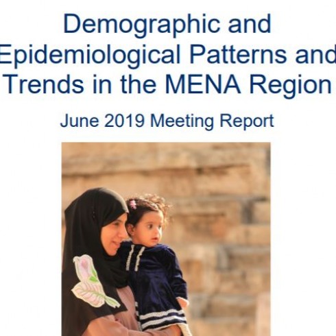 Middle East and North Africa | Sustaining Health Outcomes through the ...