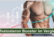 Testosteron Booster Vergleich Titelbild