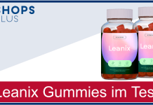 Leanix Gummis Titelbild