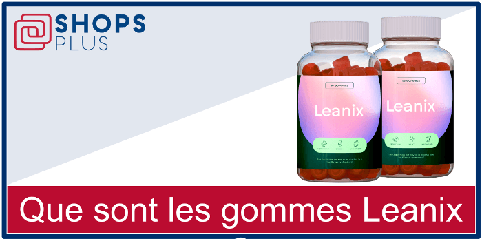 Que sont les gommes Leanix