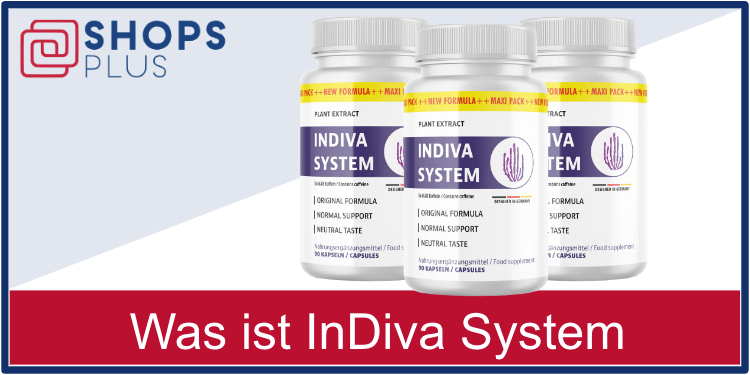 Was ist InDiva System