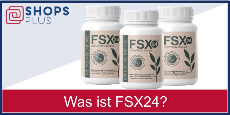 Was ist FSX24