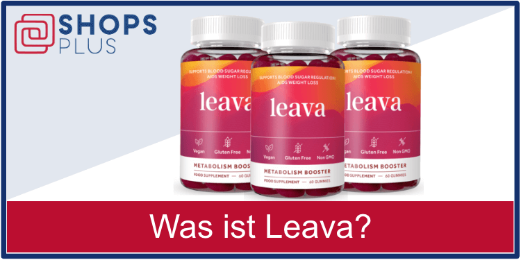Was ist Leava