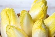 Bitter statt süß: Wie Bitterstoffe das Gleichgewicht im Alltag unterstützen können Bitterstoffe Lebensmittel Natur