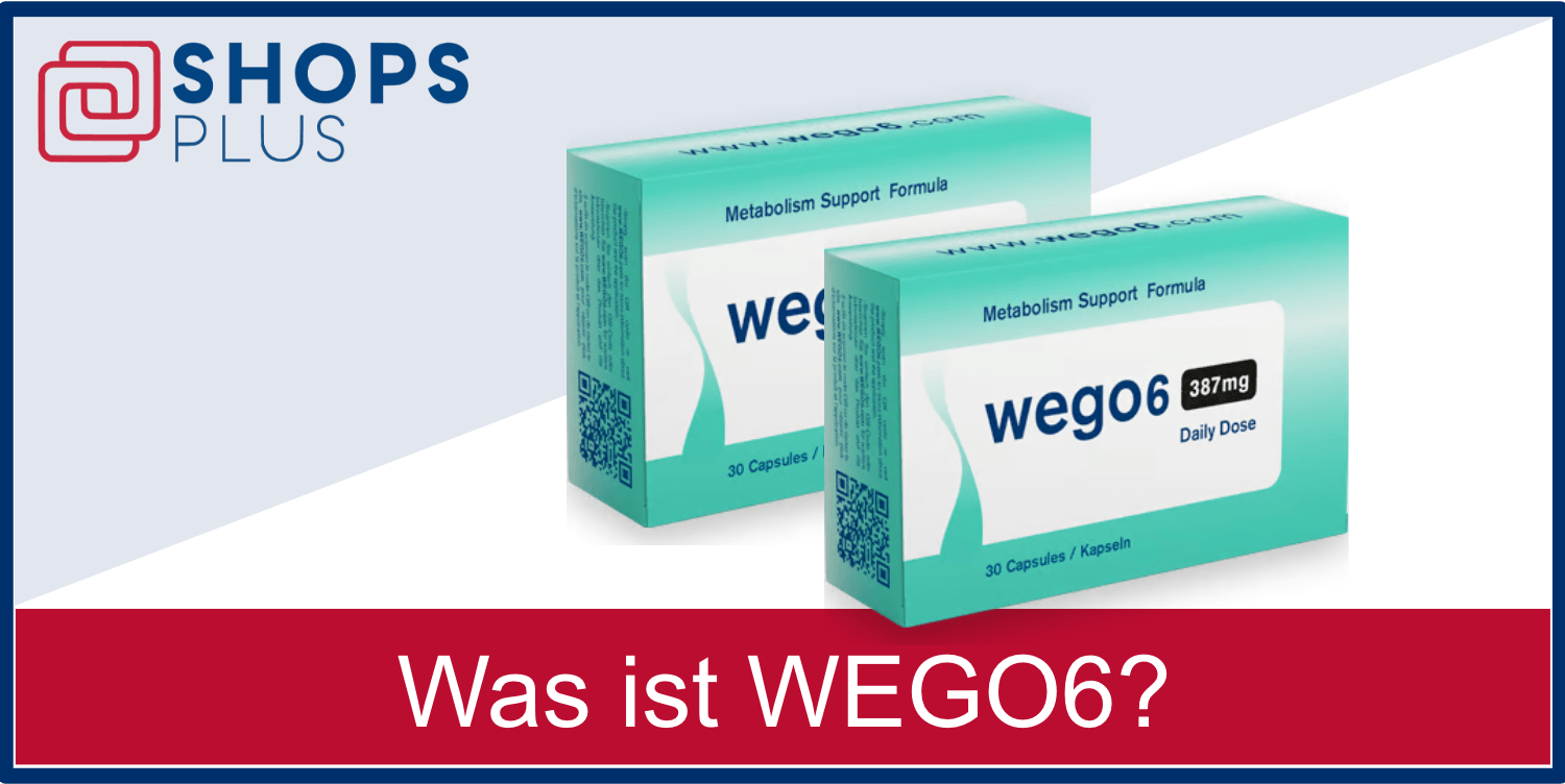Was ist WEGO6 Was ist WEGO6