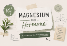 Magnesium und Hormone – Einfluss auf den Hormonhaushalt Magnesium und Hormone
