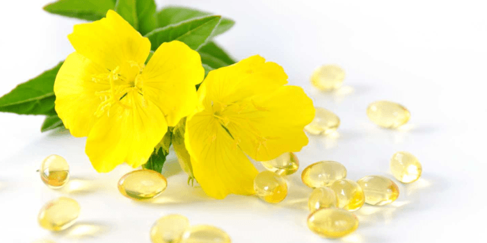 Nachtkerze Pflanze mit Nachtkerzenöl Kapseln Nachtkerzenöl Kapseln